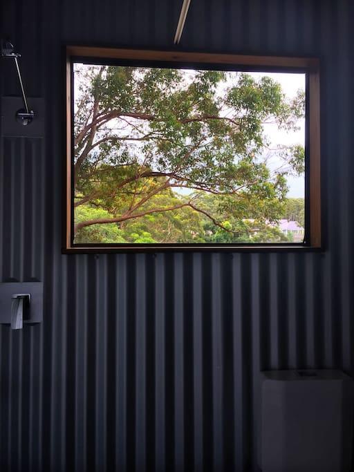 Avoca Beach And Bush ภายนอก รูปภาพ
